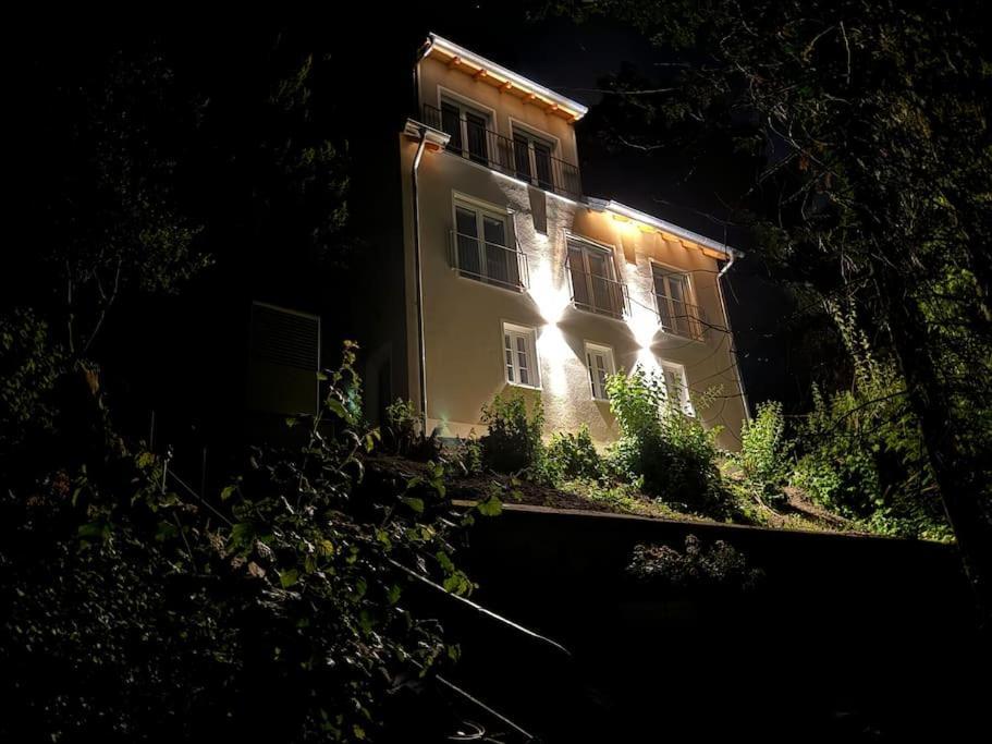 Apartmán Zur Donauinsel Bad Abbach Exteriér fotografie