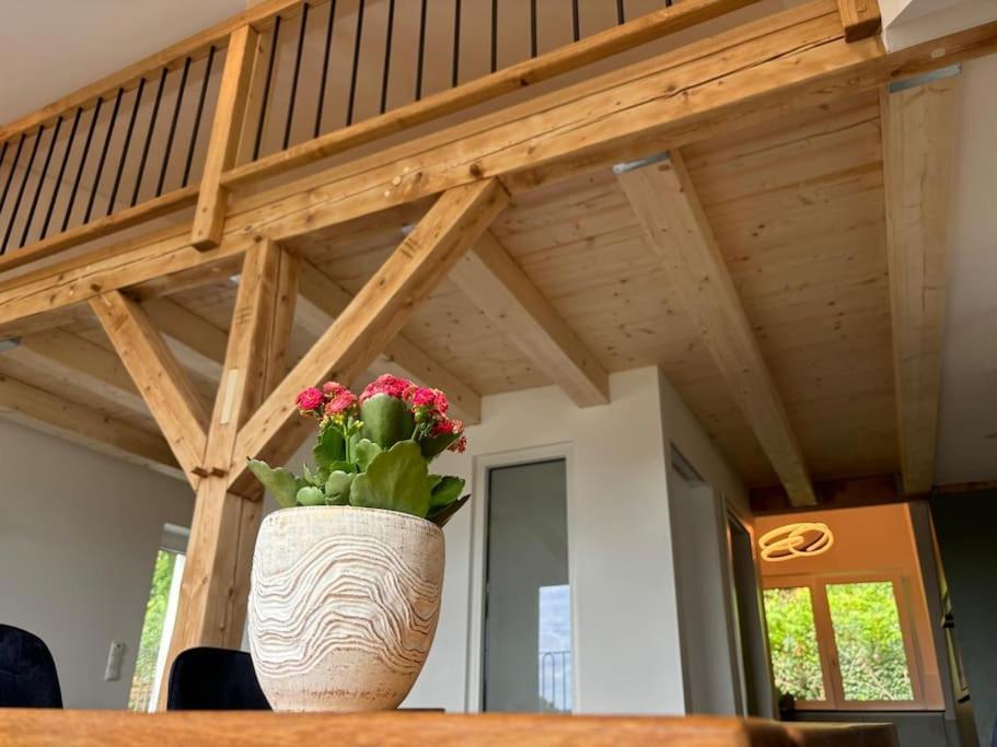 Apartmán Zur Donauinsel Bad Abbach Exteriér fotografie